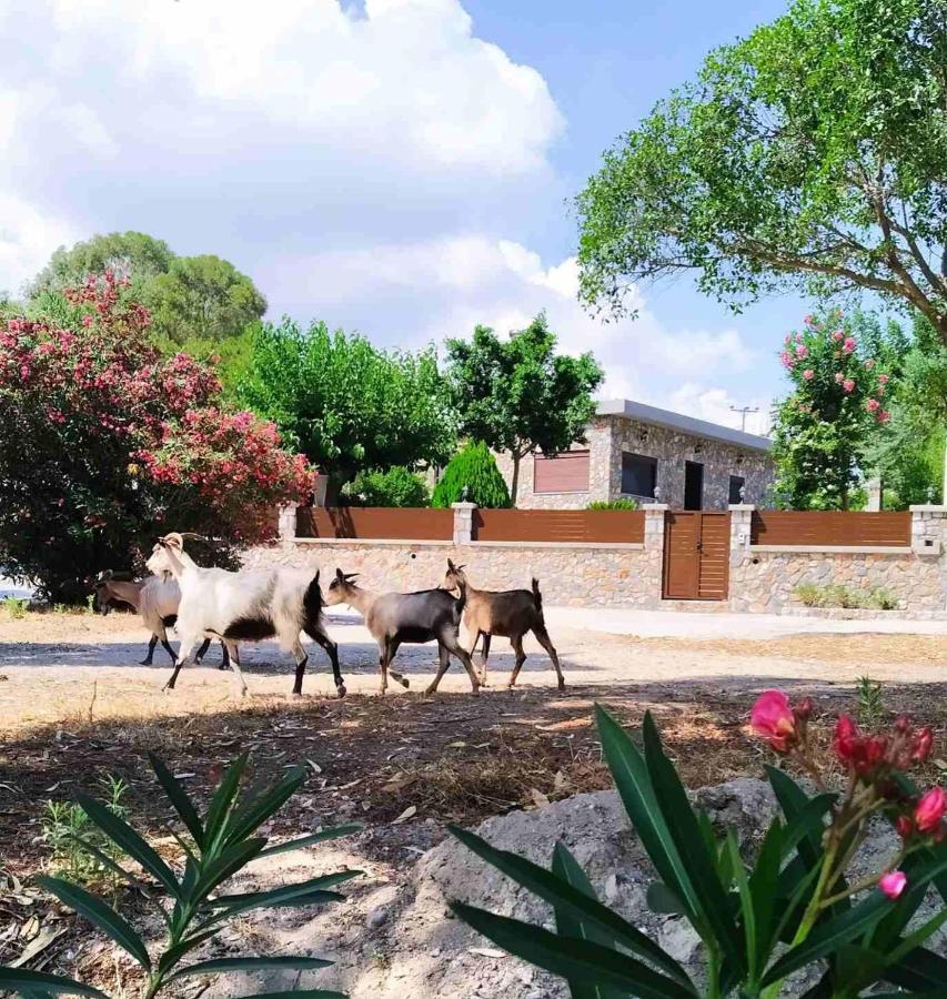 Aithonas Villa Archangelos  Luaran gambar