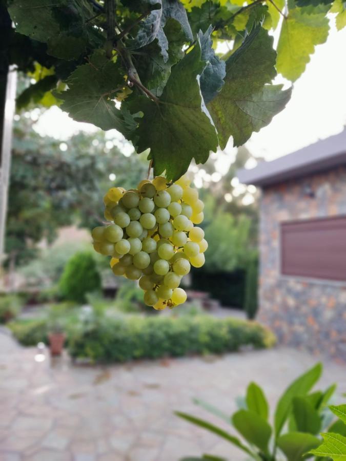 Aithonas Villa Archangelos  Luaran gambar