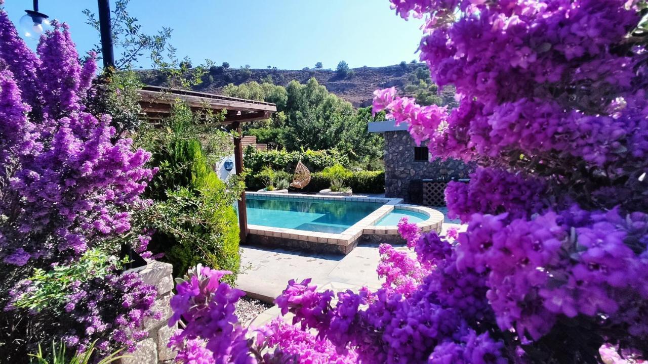 Aithonas Villa Archangelos  Luaran gambar
