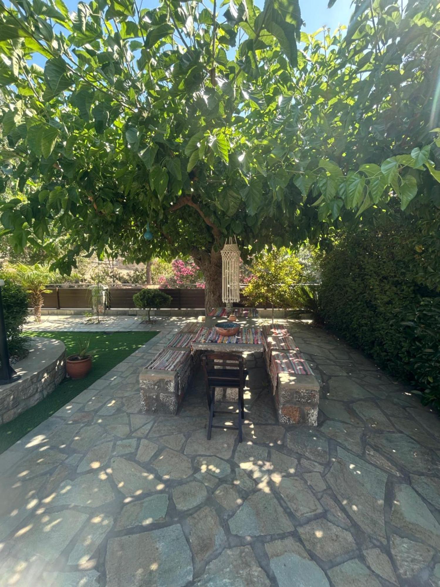 Aithonas Villa Archangelos  Luaran gambar